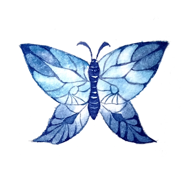 蝴蝶翅膀蓝色透明昆虫美丽PNG