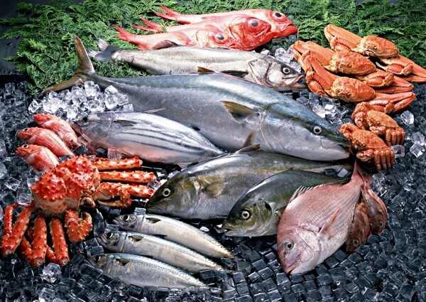 海鲜水产品分层图图片