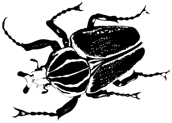 甲虫昆虫矢量素材EPS格式0085