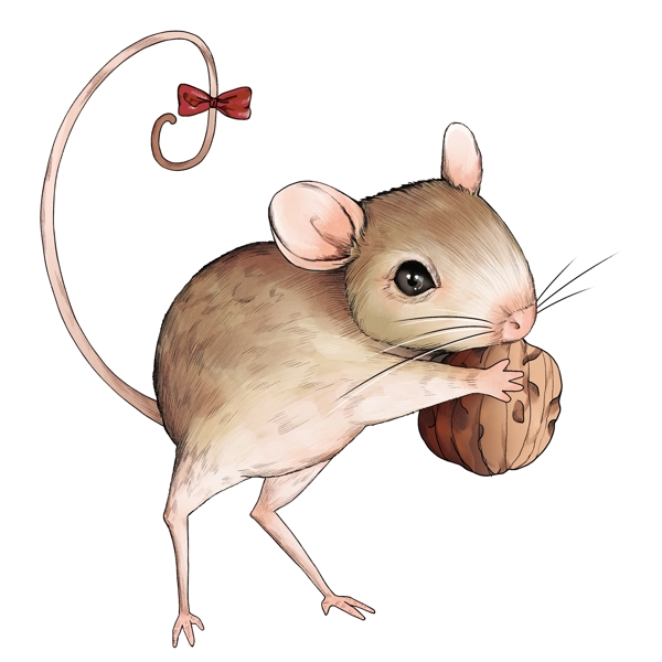 跳鼠可爱小老鼠图片