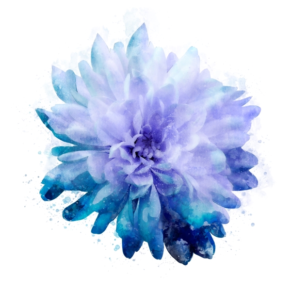 手绘花卉蓝色植物水彩元素