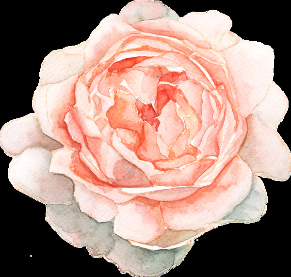 芳香粉色花朵卡通透明素材