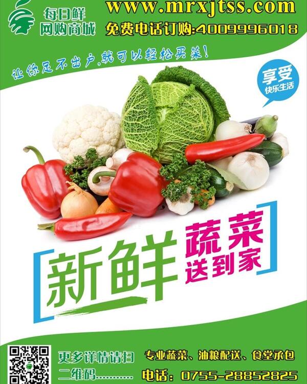 蔬菜配送海报