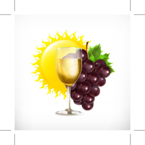 葡萄与葡萄酒设计