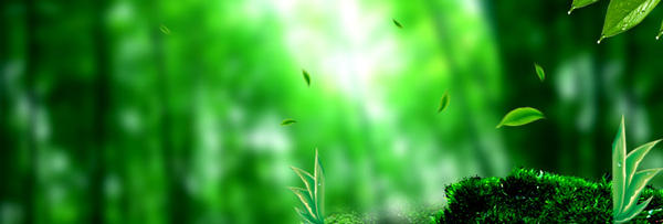 绿色树林banner背景素材