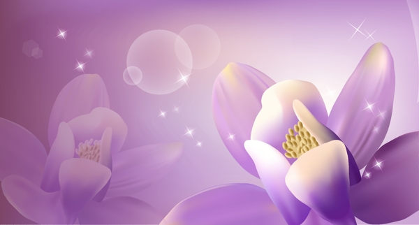 姹紫花朵壁画