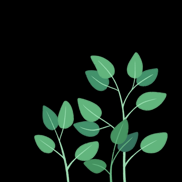 植物绿色树叶