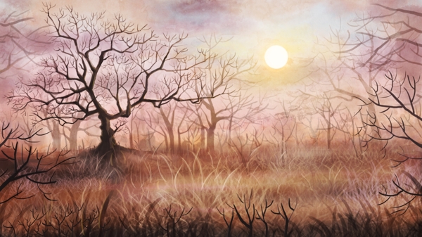 原创写实风景插画日落的森林
