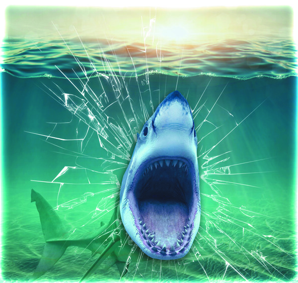 凶恶的3D鲨鱼大嘴鲨鱼立体装饰图片