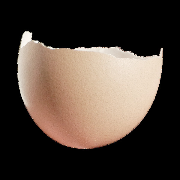 蛋壳鸡蛋破裂元素