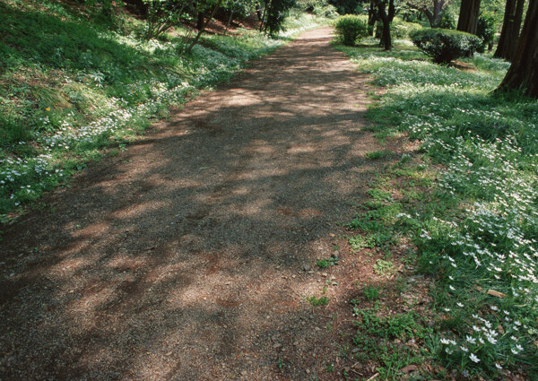 乡村公路摄影图片