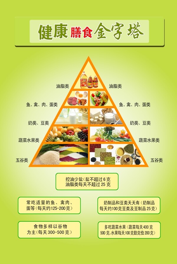 健康金字塔
