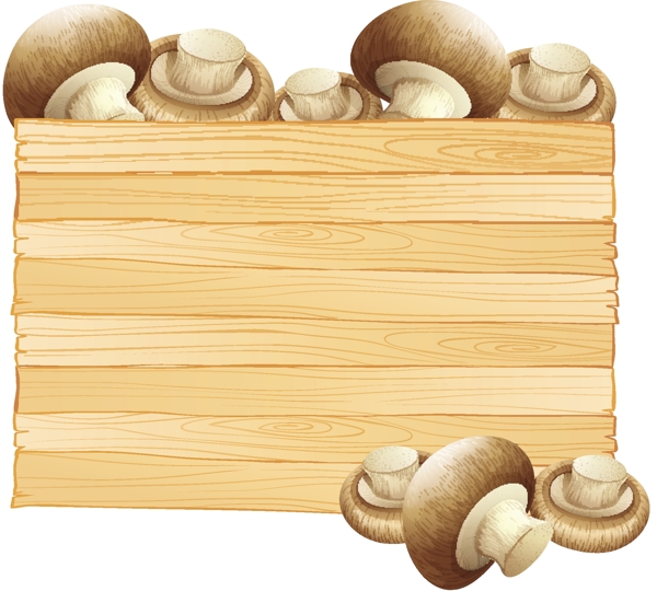 新鲜蘑菇插图板模板
