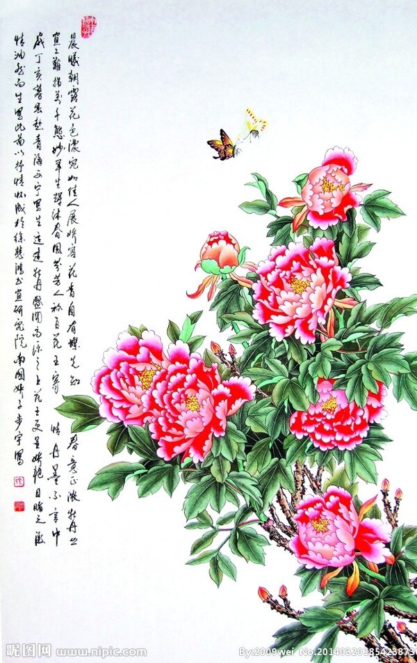 蝶恋花图片