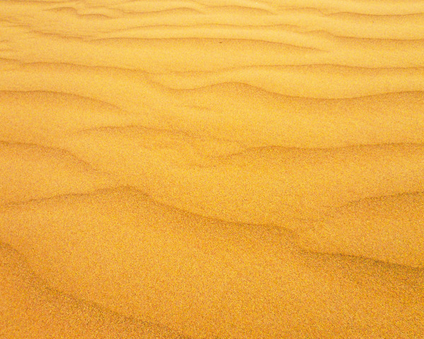 沙漠纹理图