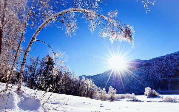 雪天艳阳朝阳背景自然