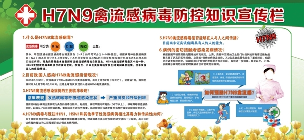 H7N9健康教育宣传栏设计