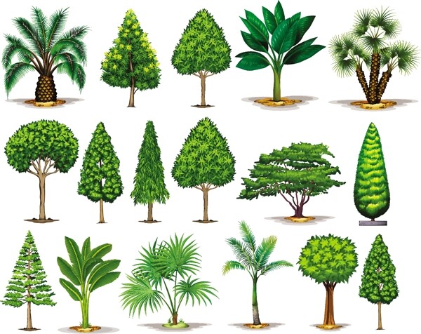 不同类型的绿色树木插图