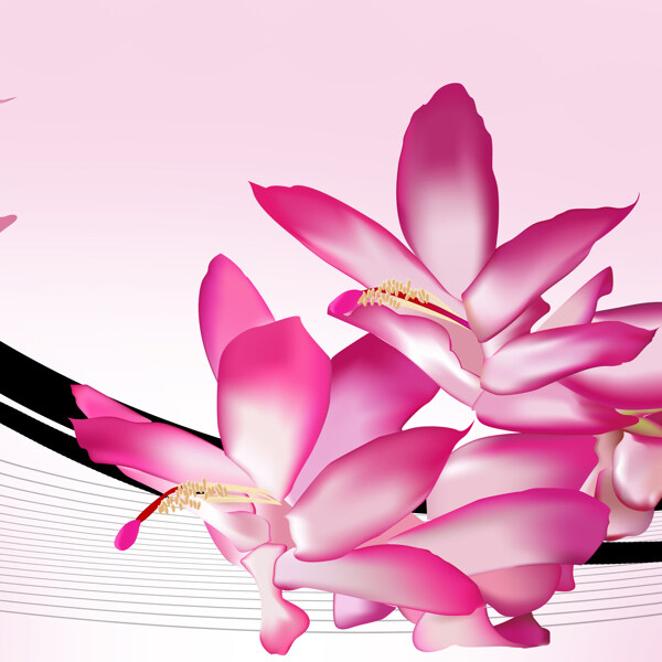 粉红色花朵与曲线等无框画高清图片