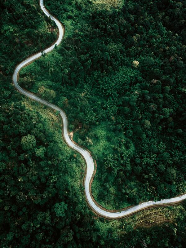 森林盘旋公路图片