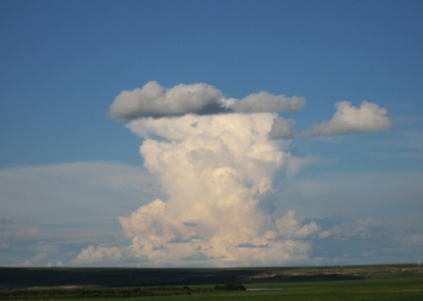 蘑菇云图片