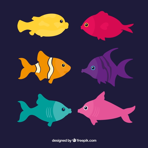 彩色的鱼类
