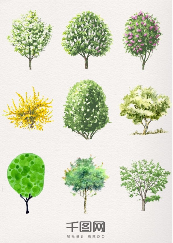 水彩植物树木素材