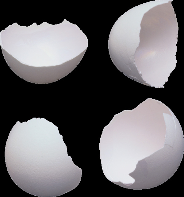 鸡蛋壳免抠png透明图层素材