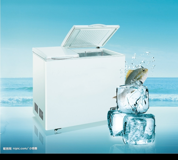 形象广告冷柜鱼图片