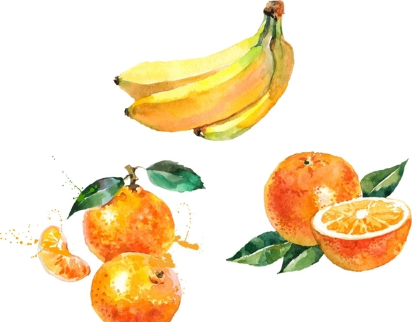 香蕉橙子油画图片