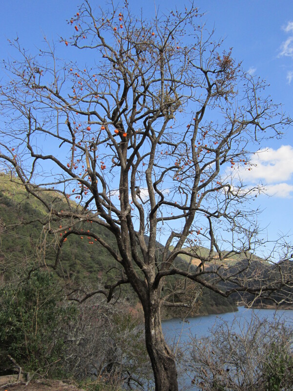 山水风景图片