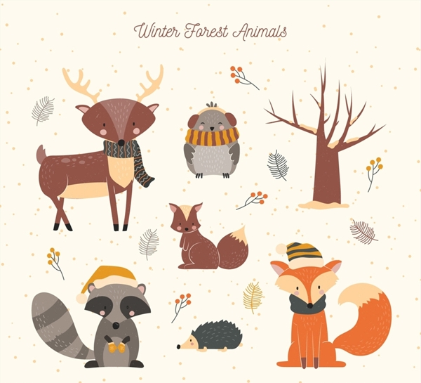 冬季森林动物图片