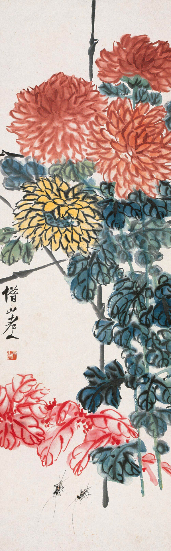 菊花蟋蟀图片