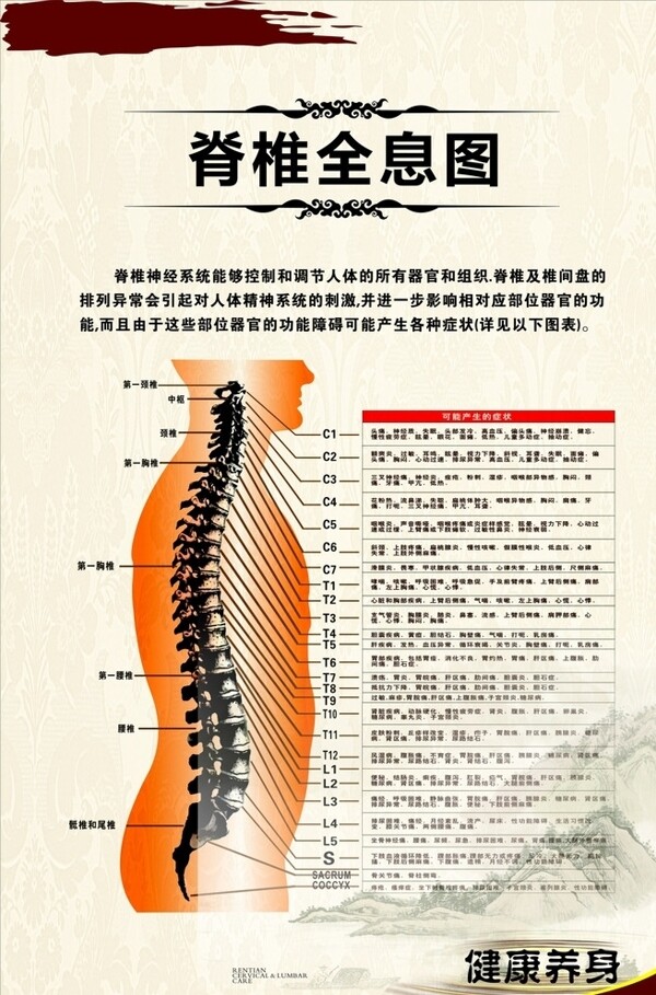 脊椎信息图片