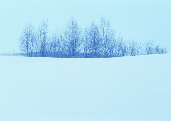 冰雪景象