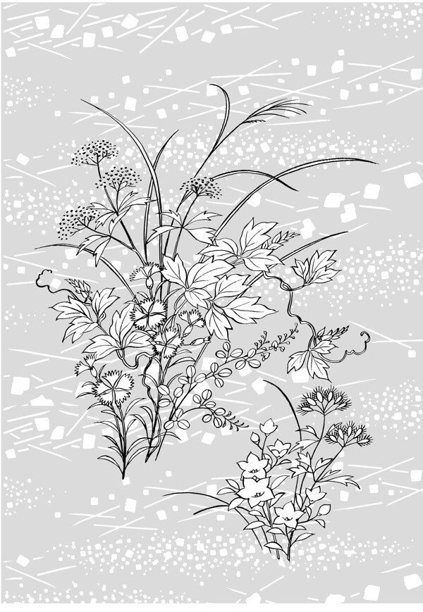 日本的植物花卉矢量素材2秋草图