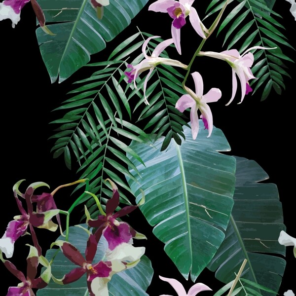 热带植物花卉壁纸