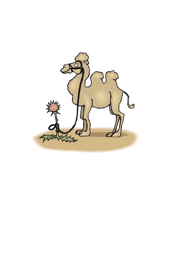 骆驼3向量