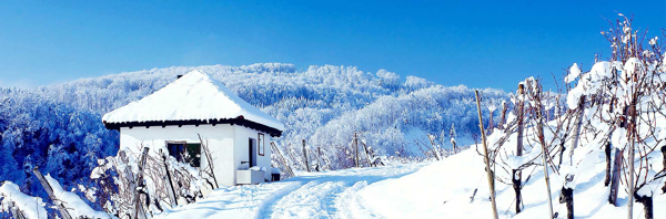 冬季雪景背景图