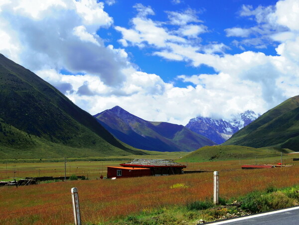 风景