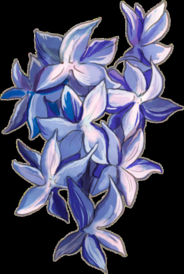 蓝紫色鲜花透明装饰图案