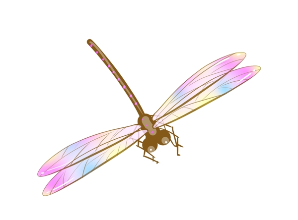 夏季昆虫蜻蜓设计