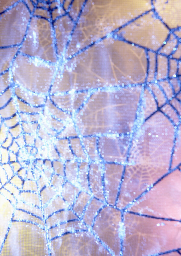 蓝色蜘蛛网背景