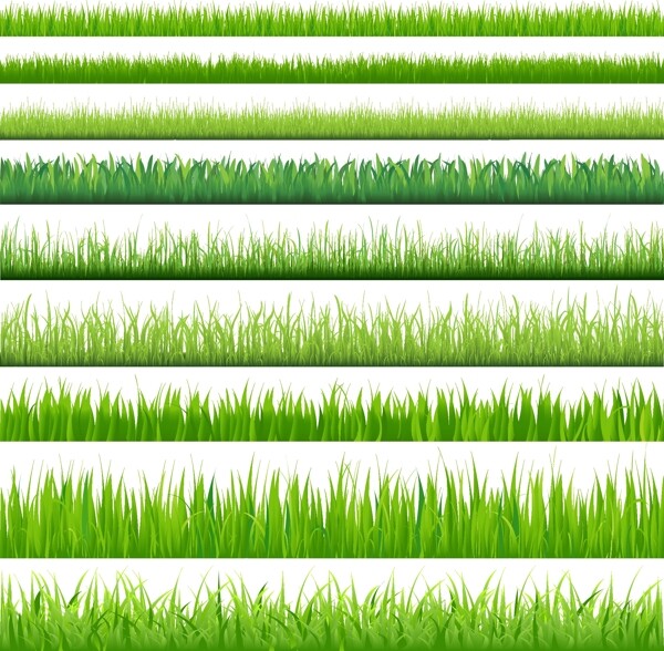 矢量素材绿色小草背景图片