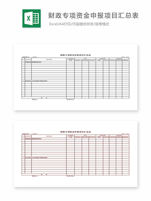 财政专项资金申报项目汇总表