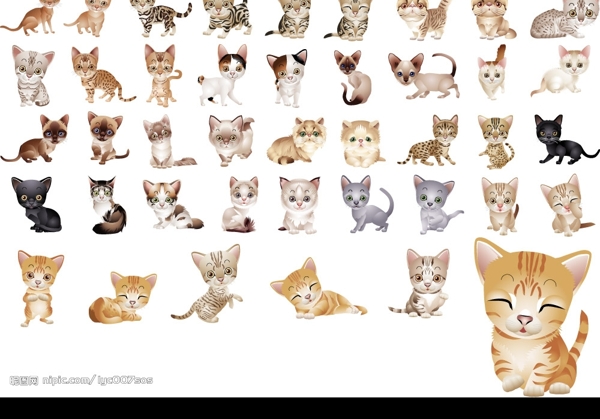 可愛貓咪矢量圖图片