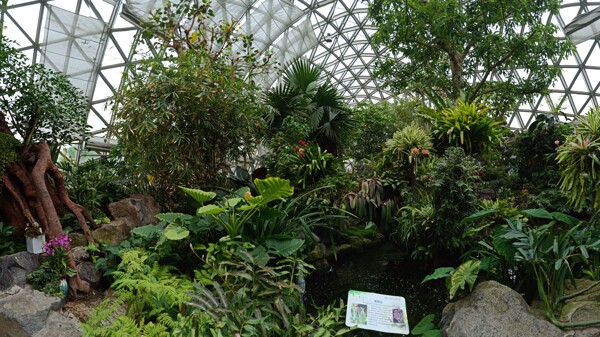 温室植物园
