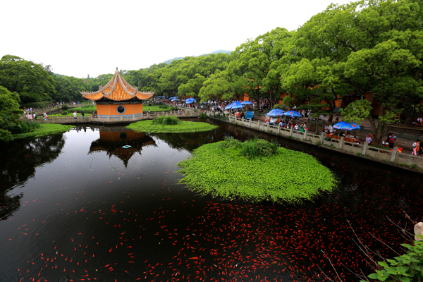 普陀山普济禅寺图片