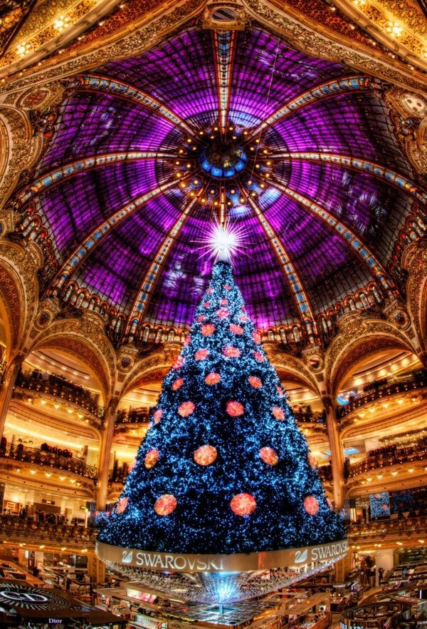 法国圣诞树图片