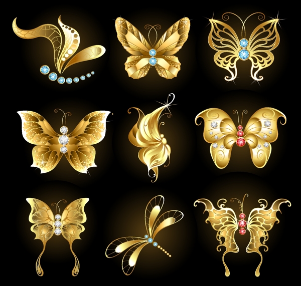金色蝴蝶蜻蜓插画图片
